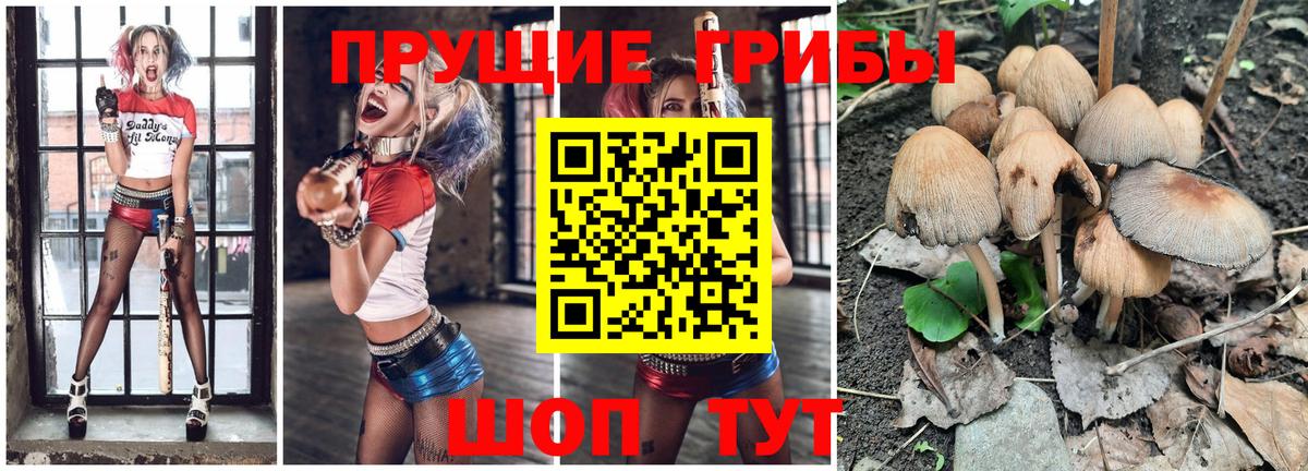 Псилоцибиновые грибы ЛСД  Ангарск 